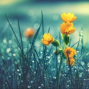 Meet your Posher, Sherry